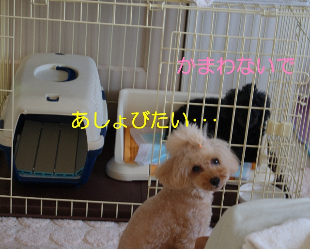 DSC08269.jpg