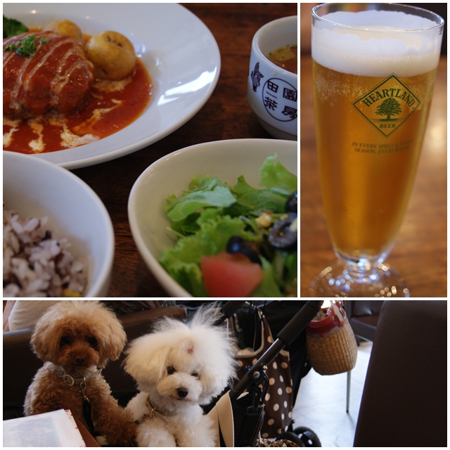 DSC08729.jpg