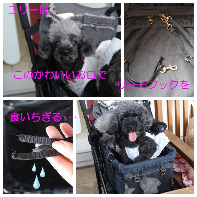 DSC08801.jpg