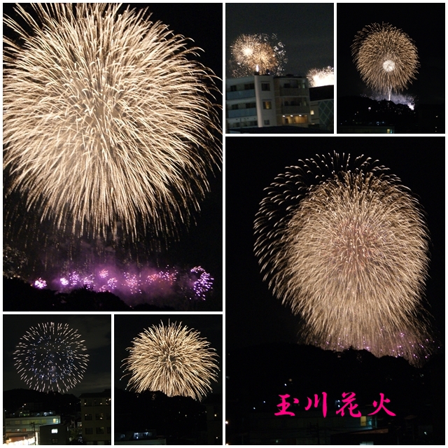 DSC08921.jpg