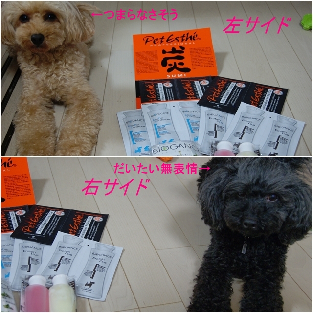 DSC09101.jpg