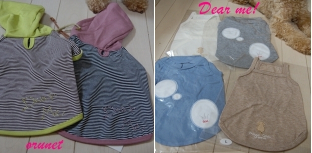 DSC091181-2.jpg