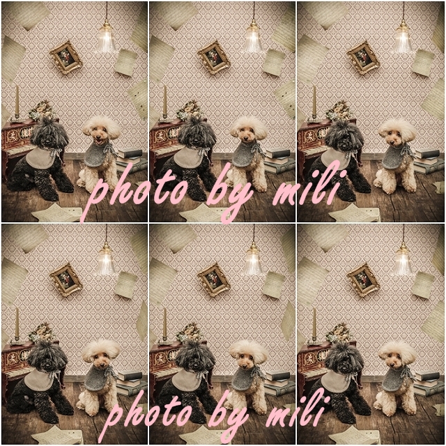 mili004.jpg