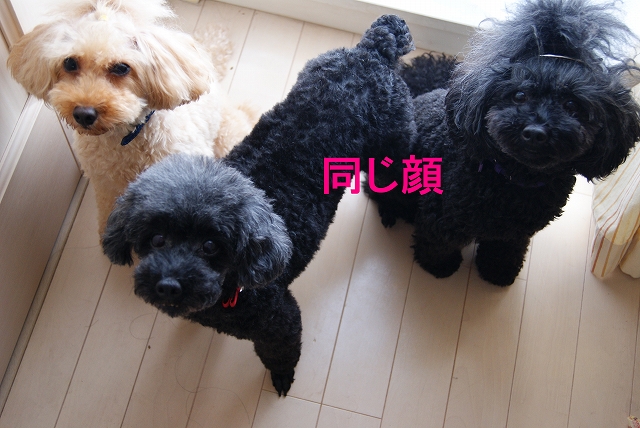 s-DSC08553.jpg