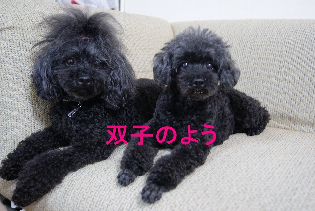 s-DSC08718.jpg