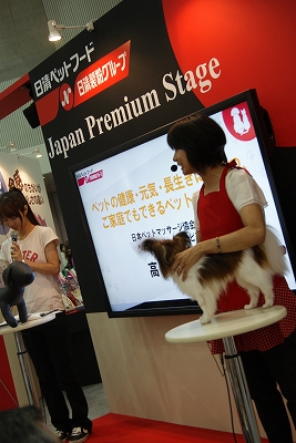 s-DSC09063.jpg