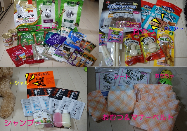 s-DSC09092.jpg