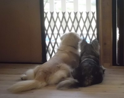 10_20120701171138.jpg