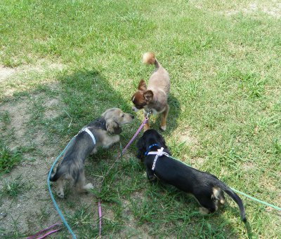 10_20120826144549.jpg