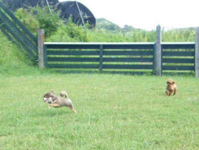 10_20120925103316.jpg