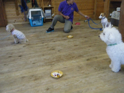 10_20121124155516.jpg