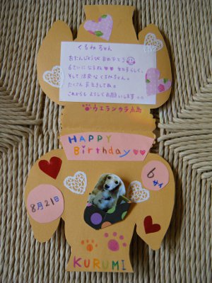 11_20121004000559.jpg