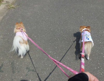 12_20120701171137.jpg