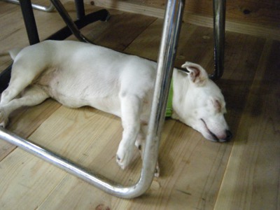 13_20120808145343.jpg
