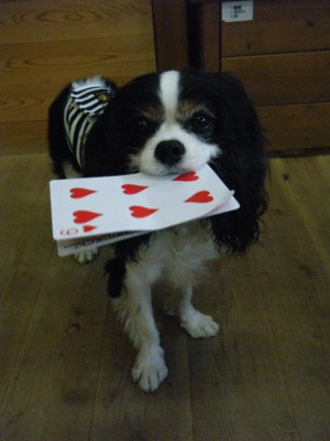 13_20121004012421.jpg