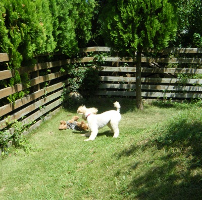 14_20121020143408.jpg