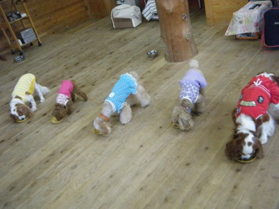 15_20120905070014.jpg
