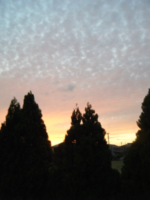 16_20121126130033.jpg