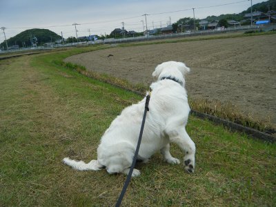 18_20120620031441.jpg