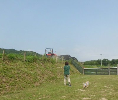 18_20120627184524.jpg