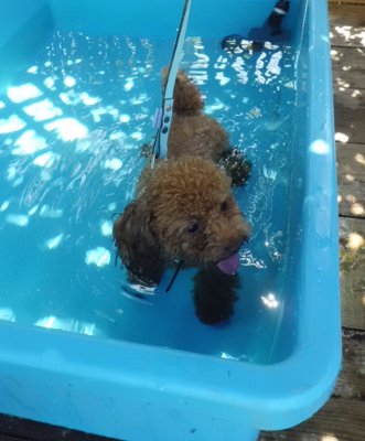 19_20120925103434.jpg