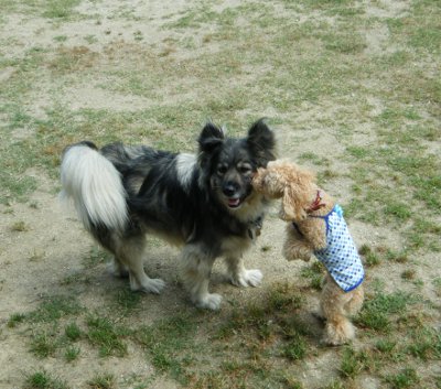 1_20120626181630.jpg
