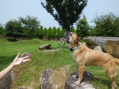 1_20120826144515.jpg
