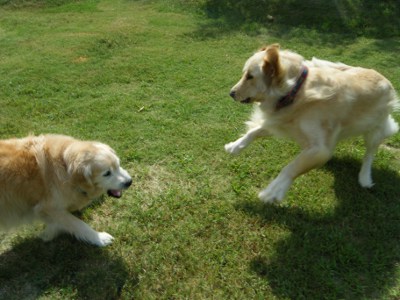 1_20120913145253.jpg