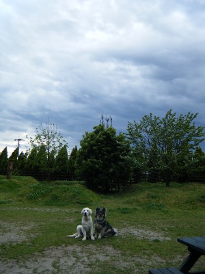 20_20120514190134.jpg