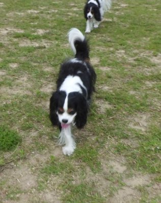 20_20120620031440.jpg