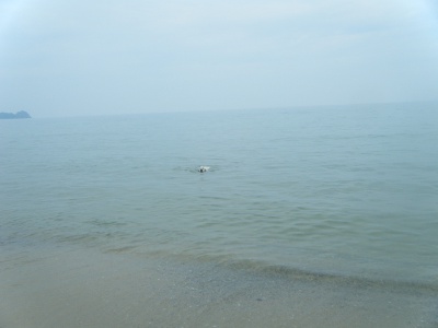 23_20120616145504.jpg