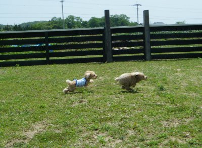 24_20120614114522.jpg