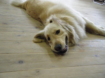 24_20120616133114.jpg