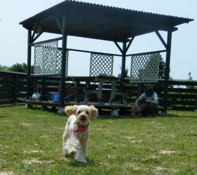 24_20120627184521.jpg