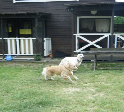 24_20121004012501.jpg
