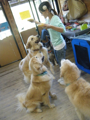 24_20121010165147.jpg
