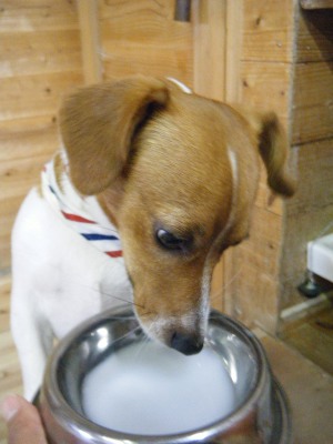 25_20120701171420.jpg