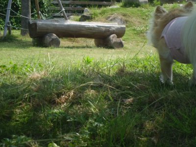2_20120701171032.jpg