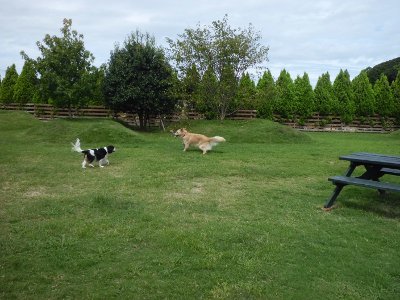 2_20121004012340.jpg