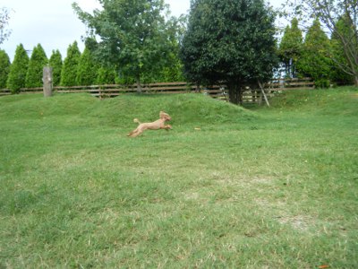 2_20121006143618.jpg
