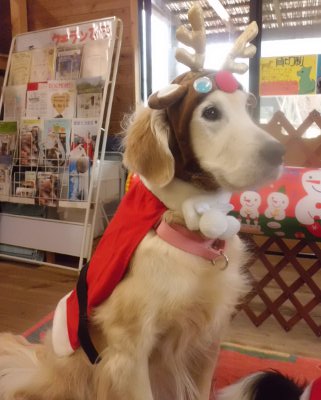 2_20121226104959.jpg
