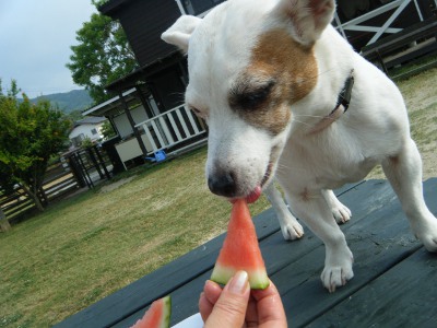 31_20120623133622.jpg