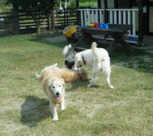 3_20120913145251.jpg