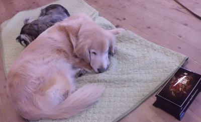 3_20130117171228.jpg