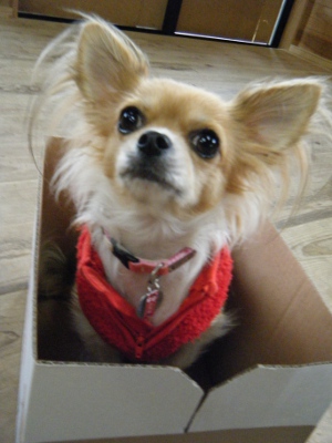 40_20130116153604.jpg