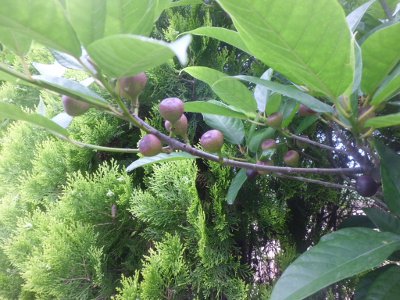 4_20120616134814.jpg