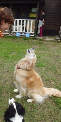 4_20120730160652.jpg