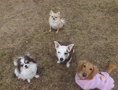 4_20130117120821.jpg