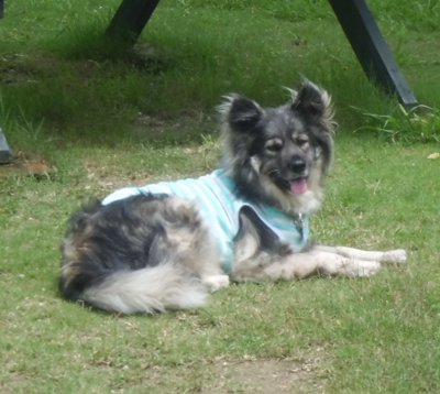 5_20120721162956.jpg
