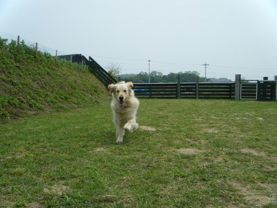 7_20120602181651.jpg